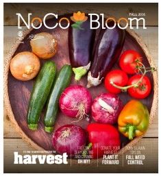 NoCo Bloom magazine Fort Collins
