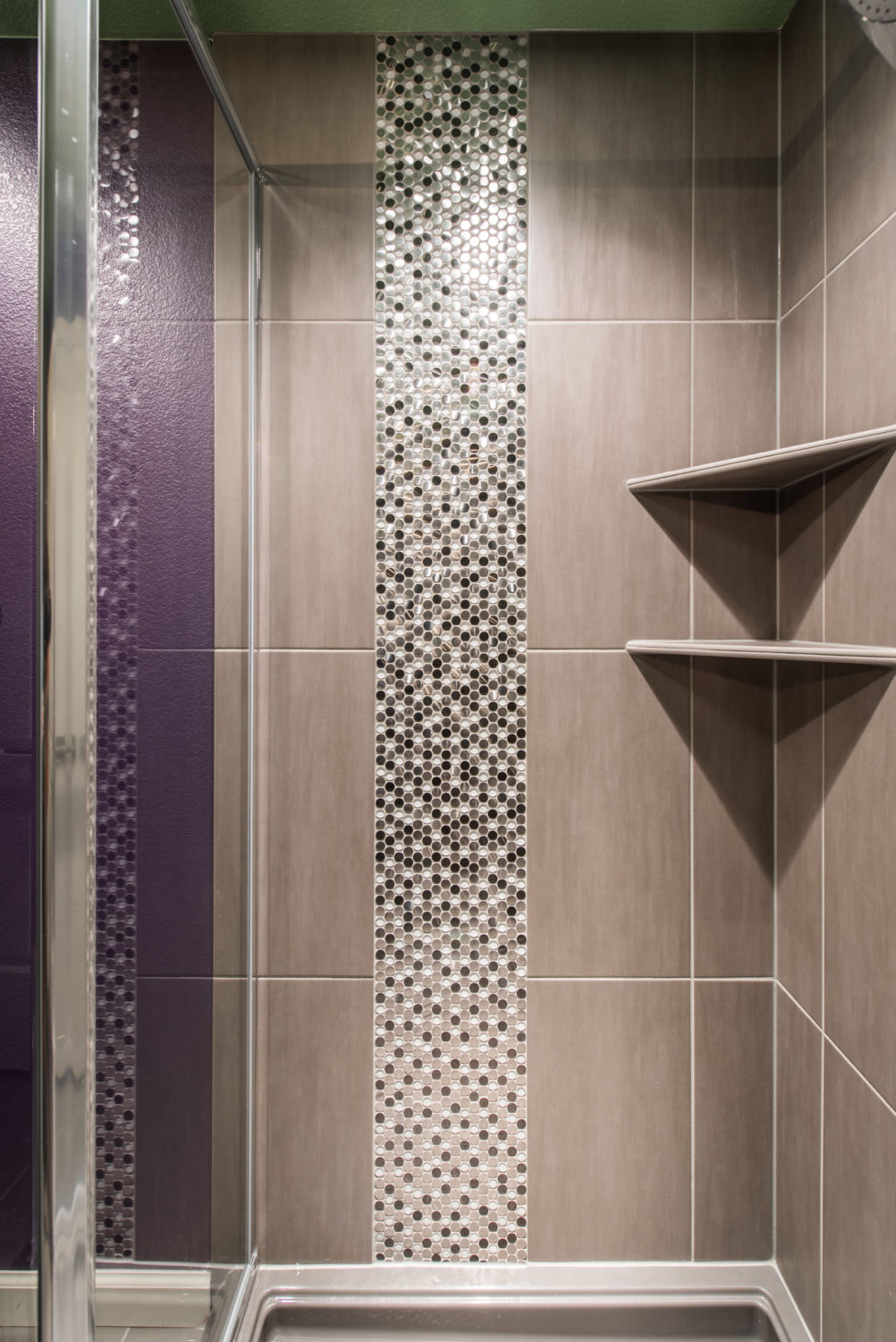 HighCraft-Builders-eclectic-shower-with-vertical-accent-strip
