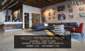 NOCO IIDA 2016 home remodeling mixer