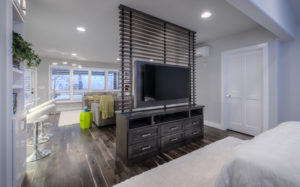 guest-house-remodel-fort-collins-co-television-room-divider