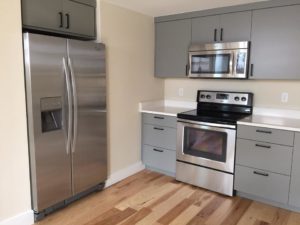 over-under-duplex-basement-kitchen-remodel-gray-slab-cabinets