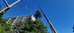 tree-top-removal-highcraft-builders-fort-collins-co