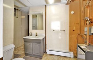 whole-house-remodel-basement-bathroom-before