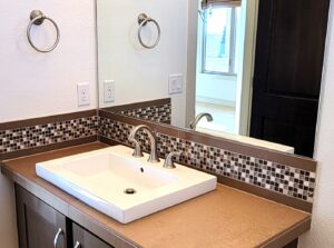 before-bathroom-remodel-basin-sink