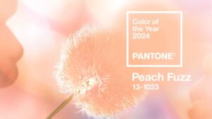 Pantone-color-of-the-year-Peach-Fuzz