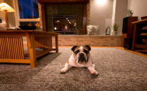 fort-collins-home-remodel-bulldog-fireplace