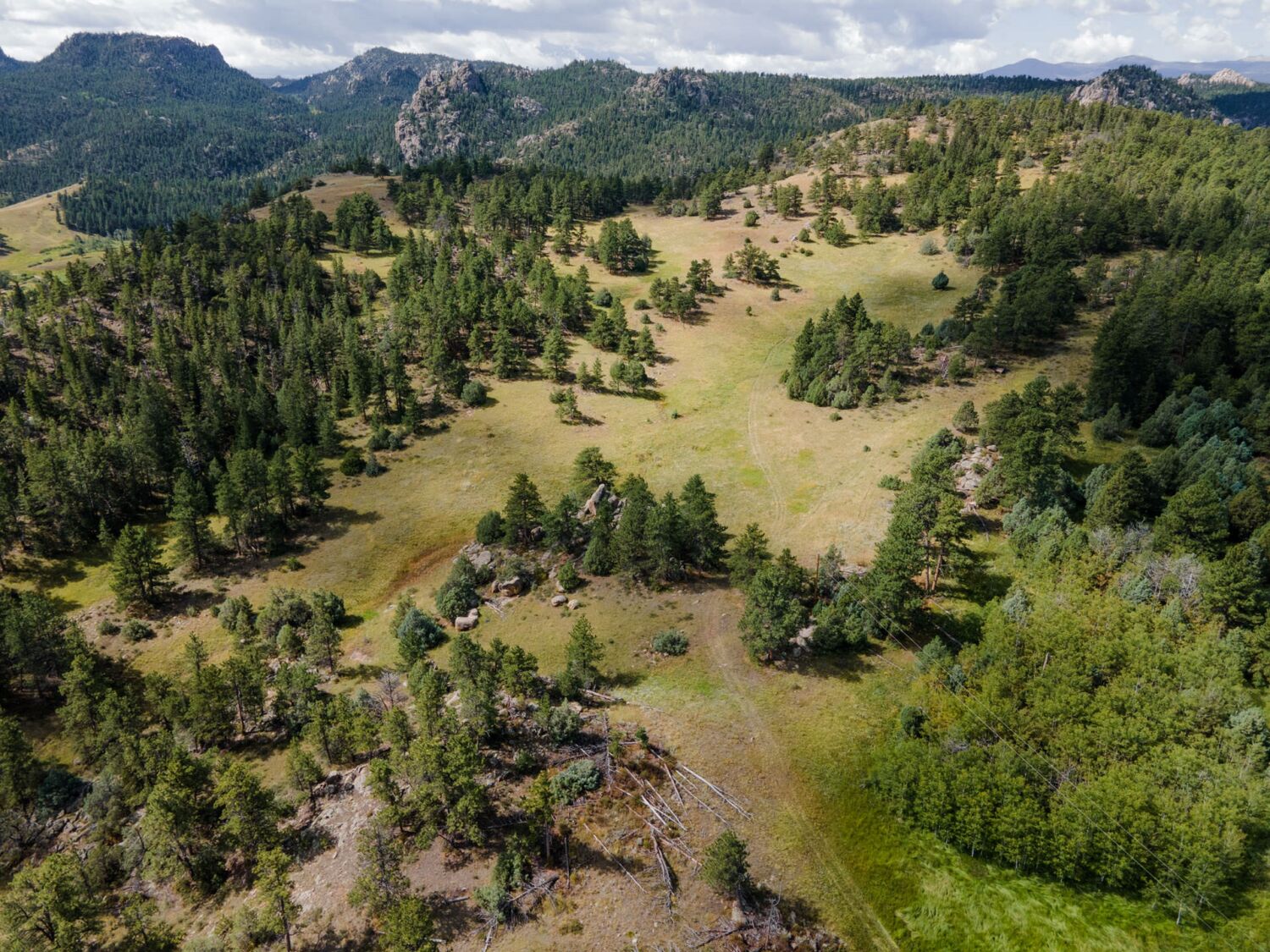 custom-home-builder-red-feather-lakes-raw-land-mountains-colorado