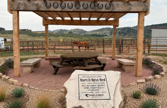 hearts-and-horses-pergola-donated-by-highcraft-builders-2026